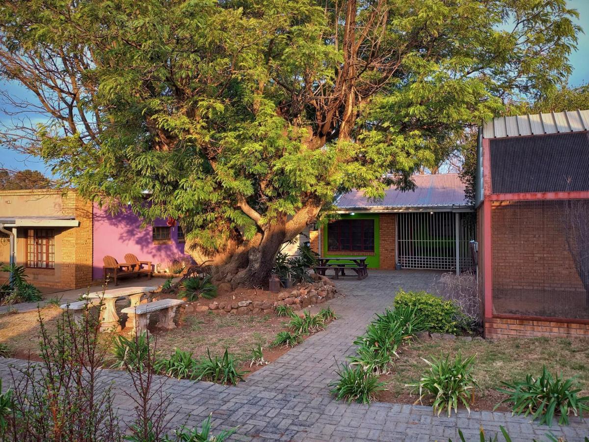 Backpackers Connection @ Jnb Airport Albergue Benoni Exterior foto